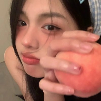 狐狸女士第二季
